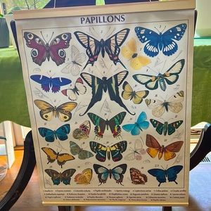 Papillons Butterfly Poster